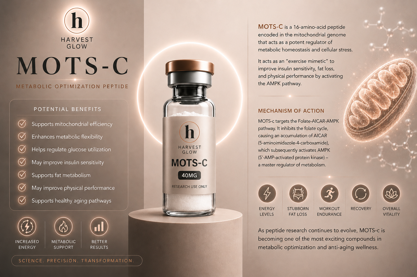 MOTS-C 40MG